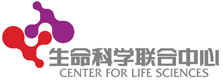 开云手机网页登录页面